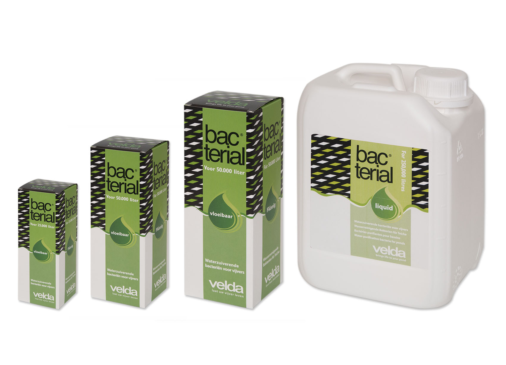 Bacterial Liquid