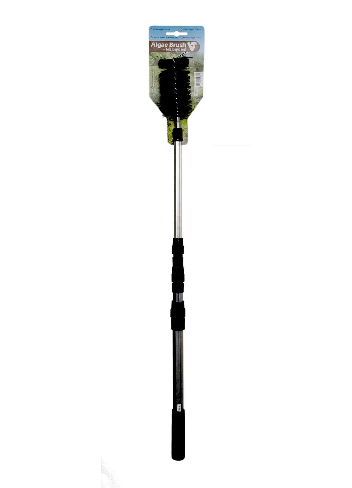 Algae Brush