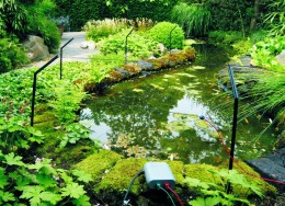 Pond-Protector-bij-vijver